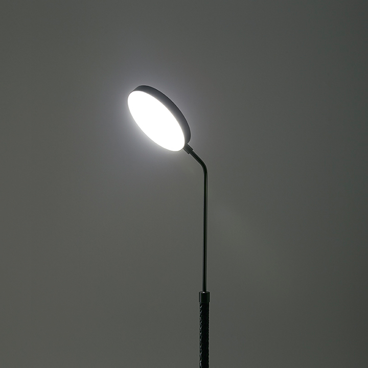 Spoon Wall Lamp by Penta Light Lamps Spoon Wall Lamp by Penta Light Lamps